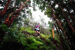 BIB: 
                            <button type="button" onclick="openModal(26201942)" class="btn btn-primary btn-sm float-right btn-popup" data-toggle="modal" data-target=".modal-high-quality">
                        <i class="fas fa-shopping-cart"></i> Add to Cart
                    </button>
                                            <button type="button" onclick="isThisMe(26201942, true)" class="btn btn-success btn-sm float-right btn-popup btn-isme hidden" data-toggle="tooltip" data-placement="bottom" title="นี่คือรูปของคุณใช่ไหม คลิกที่นี่เพื่อเอาเข้าอัลบั้ม">
                        <i class="fas fa-plus"></i> Add to album
                    </button>
                    <button type="button" onclick="isThisMe(26201942, false)" class="btn btn-warning btn-sm float-right btn-popup btn-isnotme hidden">
                        <i class="fas fa-ban"></i> Remove from album
                    </button>